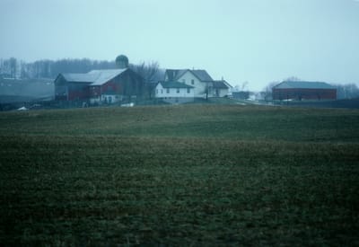 129.jpg
