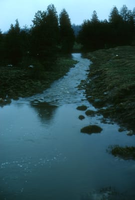 133.jpg