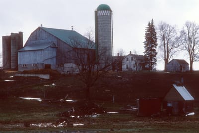 134.jpg