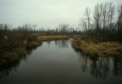 315.jpg