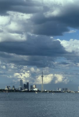 317.jpg
