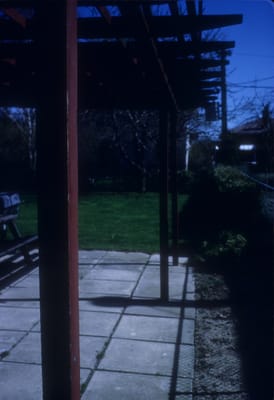 5034.jpg