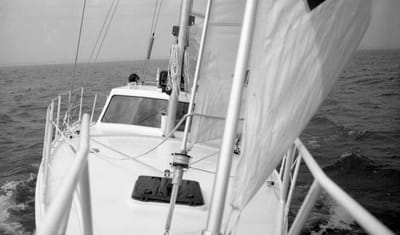 1988_662.jpg