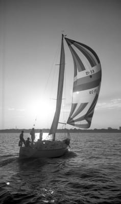 1988_882.jpg