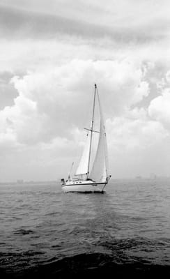 1988_890.jpg