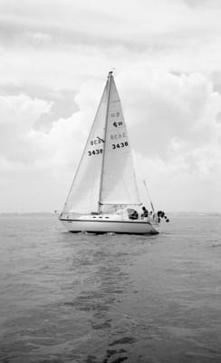 1988_891.jpg
