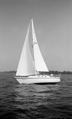 1988_912.jpg