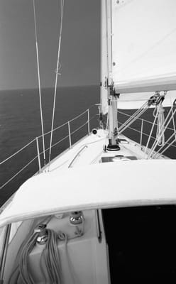1988_919.jpg