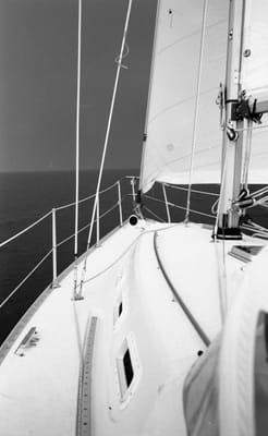 1988_920.jpg