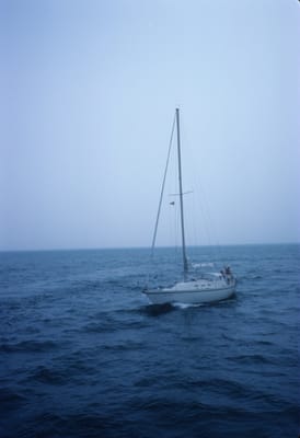 5009.jpg