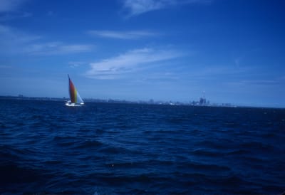 5039.jpg