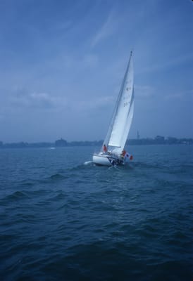 5043.jpg