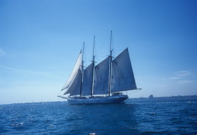 5110.jpg
