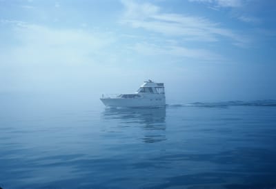 5147.jpg