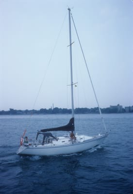 5154.jpg