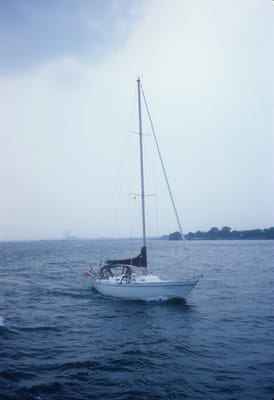 5155.jpg