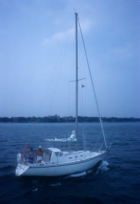 5157.jpg