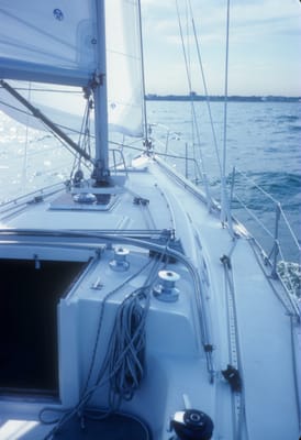 5159.jpg
