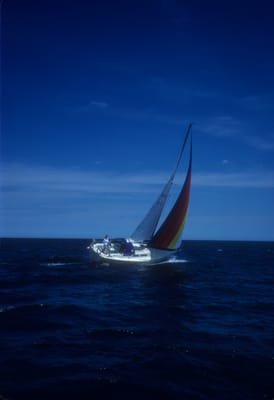 Image178.jpg