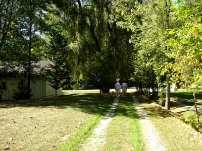 004 Front lane garage.JPG