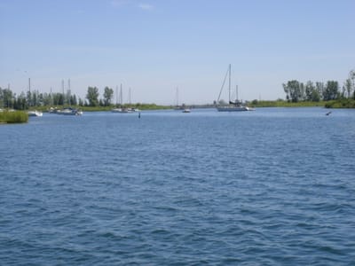 05 Aquatic Park #3.jpg