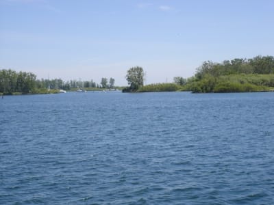 06 Aquatic Park.jpg