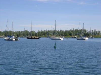 08 Aquatic Park #4.jpg