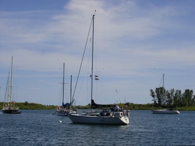 11 At Aquatic 040724 - 4.jpg