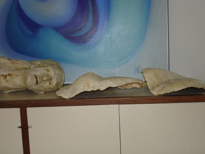 19 ditto 2005.JPG