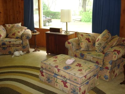 15 Living Room.JPG