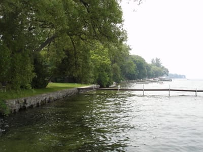 24 Shoreline to south.JPG