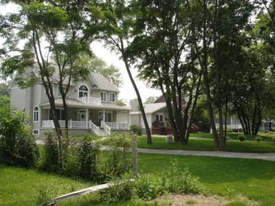 35 Another neighbour.JPG