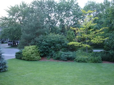 03 Berm in front.JPG