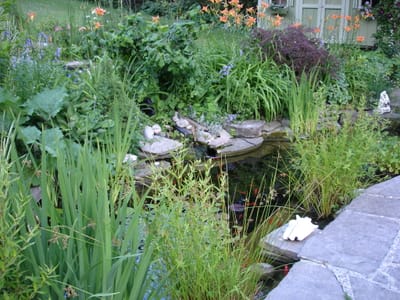 05 Pond.JPG