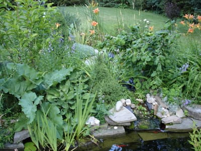 06 Pond.JPG
