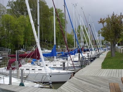 DSC00785.JPG