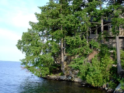 050 cottage 2005.JPG