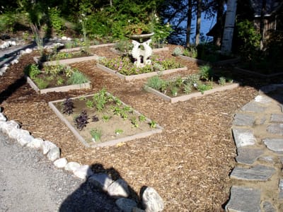 066 Herb Garden 2005.JPG