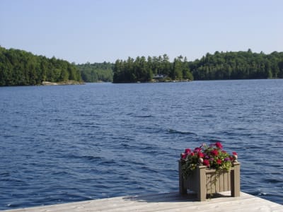 085 The dock 2005.JPG