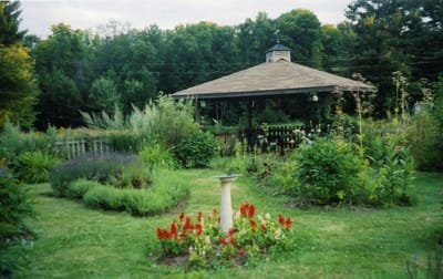 022 - Delmonte garden.jpg