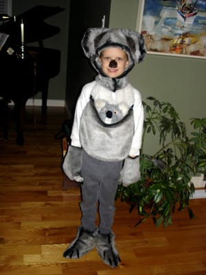 046 Emma the Koala.JPG
