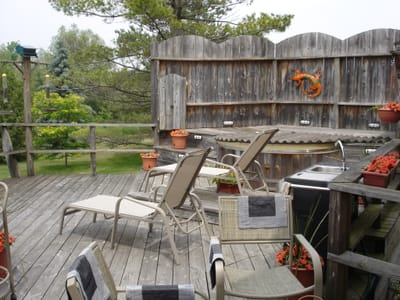 005 - Back deck.JPG