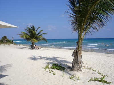 025o Beach.JPG
