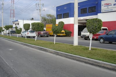 039 Hwy 307 Topiary.JPG