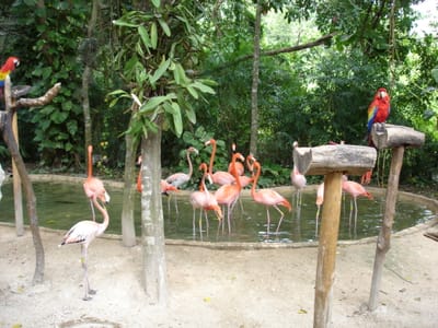 048 Xcaret.JPG