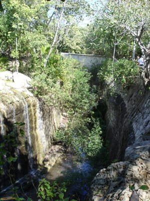 067 Moat around Jaguar exhibit.JPG