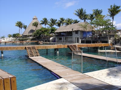 070 Dolphin Pool.JPG