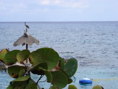 076 Beach.JPG