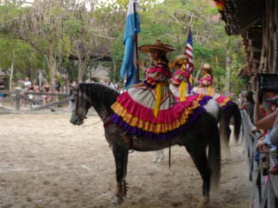 087 Horse show.JPG
