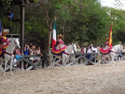 088 Horse show.JPG